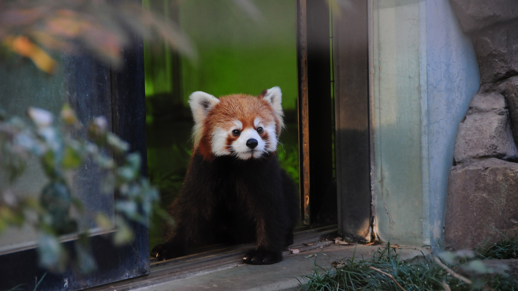 夢見ケ崎動物公園
