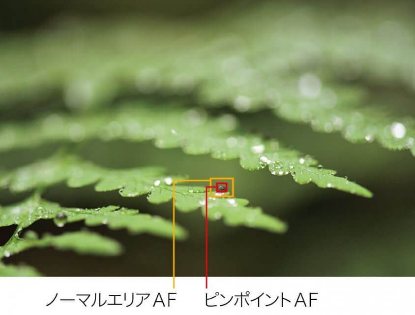 Nikon D850 特徴 ピンポイントAF