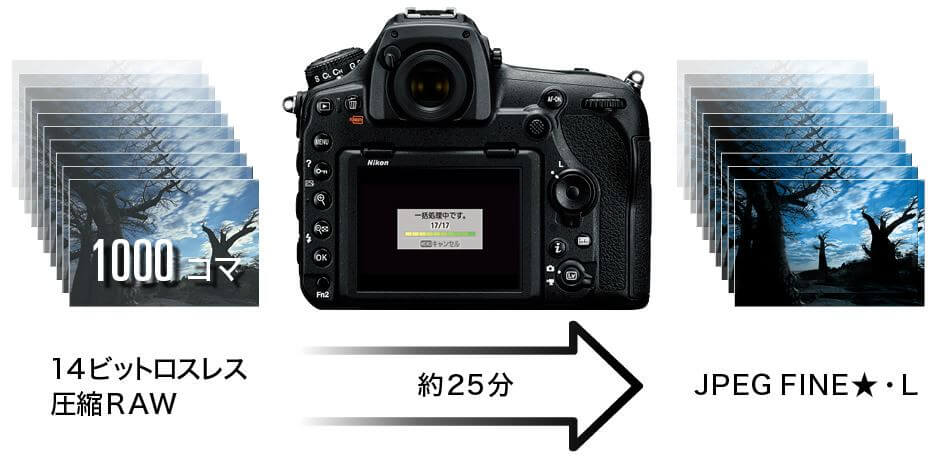 Nikon D850 特徴 カメラ内RAW現像現像