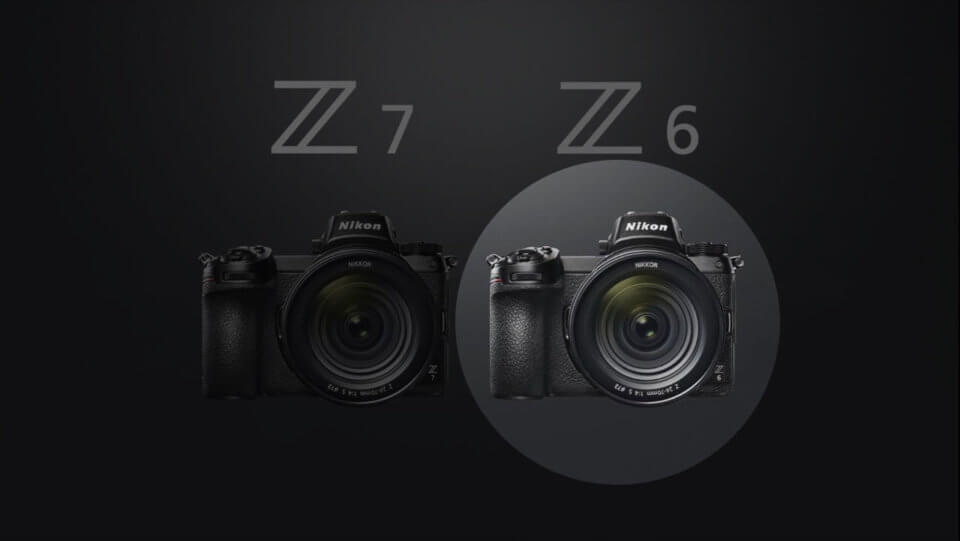 ニコンユーザーの僕がNikon Z7ではなくZ6を選んだ理由