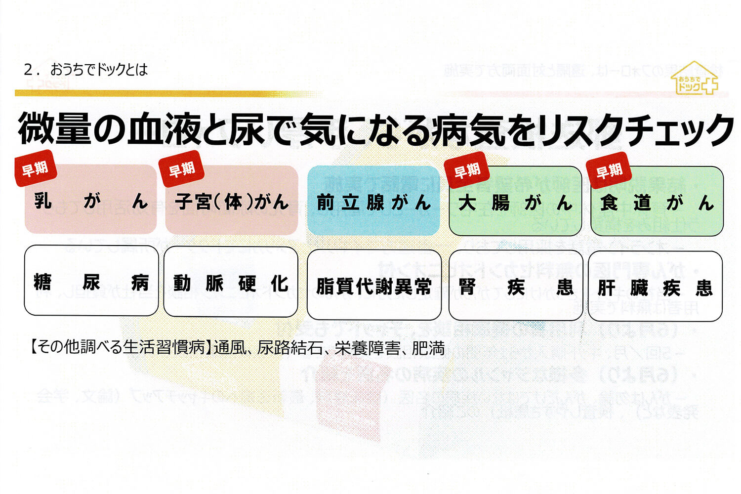 おうちでドック で検査できる項目