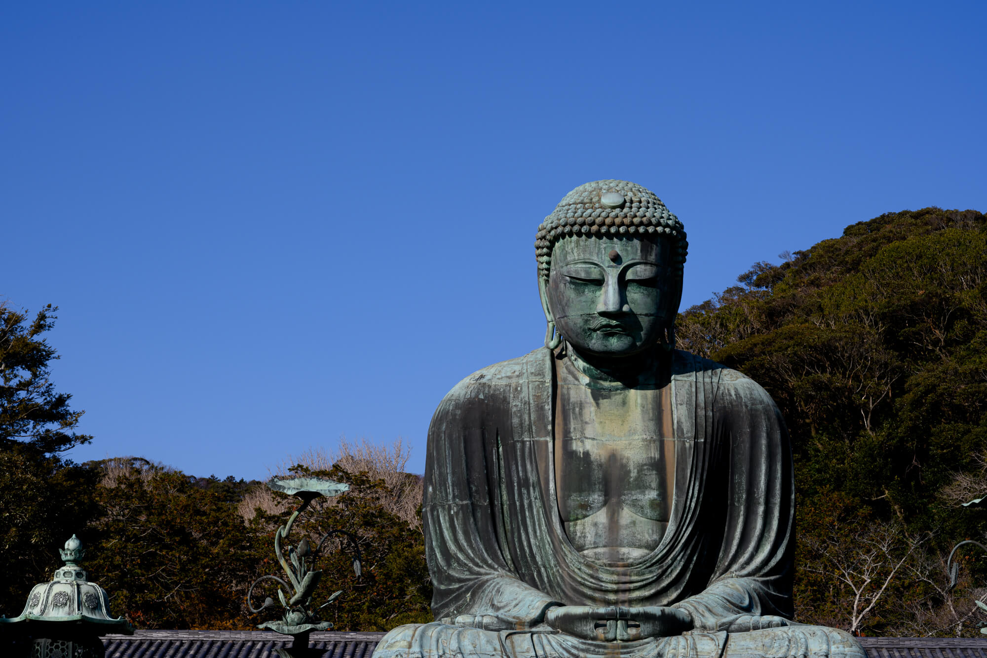 Nikon Z 7で撮る #Tomちぴさんぽ