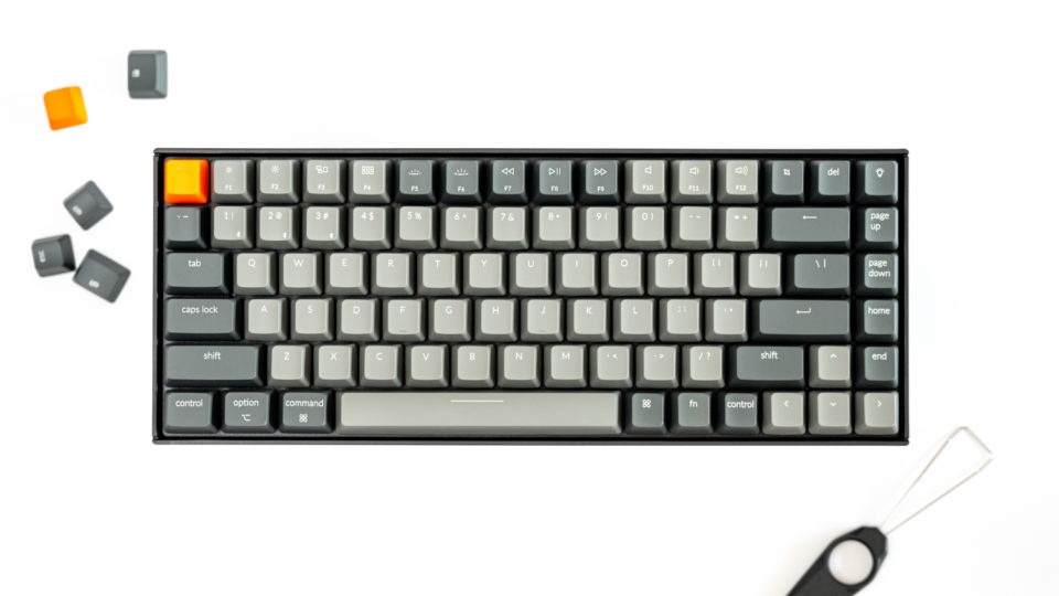 Keychron K2 レビュー。Win・Mac両対応でコンパクトなメカニカルキーボード